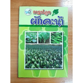 หนังสือความรู้ : การปลูกผักคะน้า