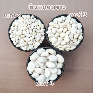 หินโรยกระถาง หินกรวด หินแกลบ หินตู้ปลา สีน้ำตาลและขาว (200g-500g.)