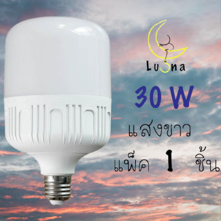 LED Bulb Day Light  หลอดไฟ หลอดแอลอีดี ประหยัดไฟ  หลอดLED  30w สีขาว แพ็ค 1 หลอด หลอดไฟ led แสงสีขาว