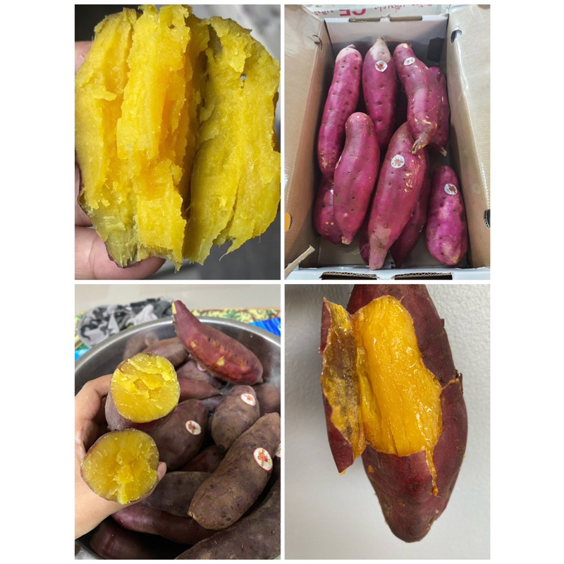 มันหวานญี่ปุ่น🍠 1kg พร้อมส่ง✅ เบนิฮารุกะ หอม หวาน มัน ฟิน😋