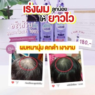 พร้อมส่ง🧺แชมพูสมุนไพรอัญชันเด็ก/ผู้ใหญ่ ACHI HERB ใช้ได้ตั้งแต่เกิด ปลอดภัยออแกนิค100% เร่งผมยาวไวดกดำหนานุ่ม แก้หัวล้าน