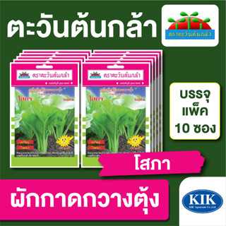 ผักซอง ตะวันต้นกล้า ผักกาดกวางตุ้ง โสภา บรรจุแพคล่ะ 10 ซอง ราคา 64 บาท