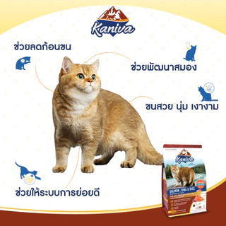 Kaniva Salmon 3 KG. อาหารแมว สูตรเนื้อปลาแซลมอน ปลาทูน่าและข้าว บำรุงผิวหนังและขน เน้นขนสวยสุขภาพดี สำหรับแมวทุกช่วงวัย