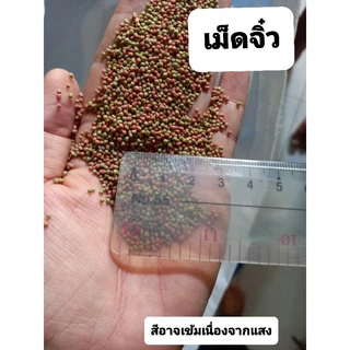 อาหารปลาหางนกยูง ปลาทอง ปลาคราฟ ปลาสวยงาม เม็ดจิ๋ว เล็ก กลาง ใหญ่ เกรดเอ1 กิโล💥แพคใส่ถุงซิปล๊อค💥(ของแท้จากโรงงานผลิต)