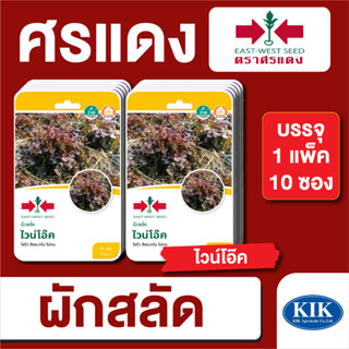 ผักซอง ศรแดง ผักสลัด ไวน์โอ๊ค F1 บรรจุแพ็คล่ะ 10 ซอง ราคา 230 บาท