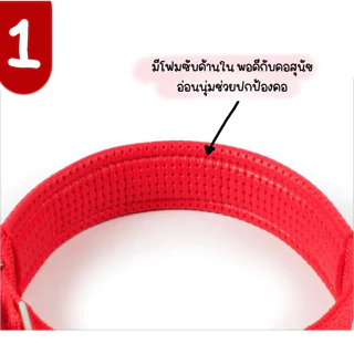 (สีพื้น) ปลอกคอหมา ปลอกคอสุนัข เชือกไนล่อน(แบน) พร้อมส่ง!!