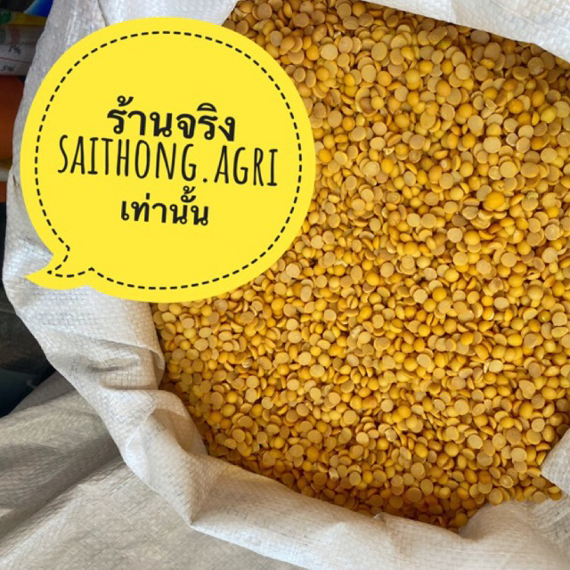 ถั่วเหลืองซีก  5 กิโล เลาะเปลือก ใหม่ สะอาด สำหรับทำอาหาร