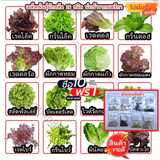 เมล็ดผักอินทรีย์เมล็ดผักสลัด 100-200 เมล็ด 10 บาท ถูกที่สุด [ซื้อ 10 แถม 1 คละได้]