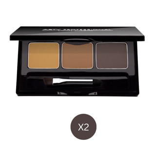 ARTY PROFESSIONAL 3 TONE EYEBROWS PALETTE สี X2  สี RUNWAY