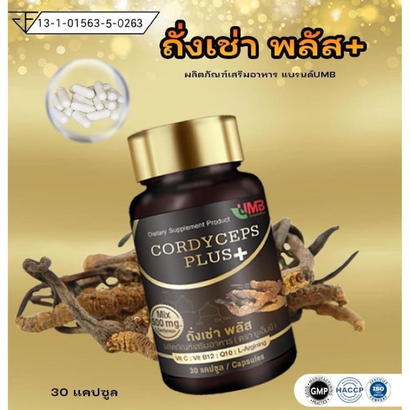 [1กระปุก] ถั่งเช่าพลัส  ถั่งเช่าสกัด บรรจุ 30 เม็ด Cordyceps Plus