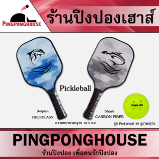 ไม้ Pickleball มาตรฐานแข่งขัน มีไส้ Carbon Fiber และไส้ Fiber Glass พร้อมลูก Pickle Ball NeoSlick Vega 40 สีเขียว