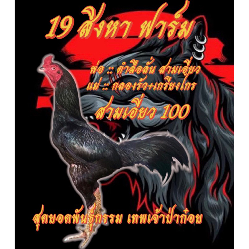 ไข่ไก่ชน ลูกดำลือลั่น สามเอี่ยว 100% เทพเจ้าป่าก๋อย ชุด 2 ฟอง รับประกันเชื้อ (ส่งด่วน)