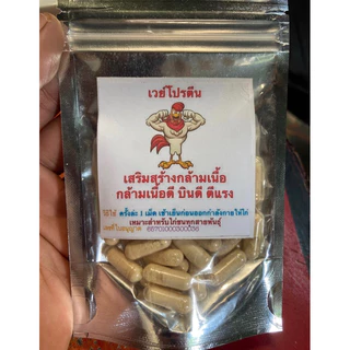 เวย์โปรตีน สำหรับไก่ชน แก้ไก่หน้าซีดได้ เสริมสร้างกล้ามเนื้อ กล้ามเนื้อดี บินดี ตีแรง