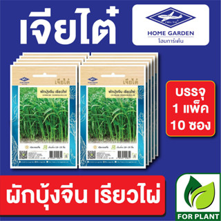 เมล็ดพันธุ์ ผักซอง ผักบุ้งเรียวไผ่ ตราเจียไต๋ บรรจุแพ็คล่ะ 10 ซอง ราคา 70 บาท