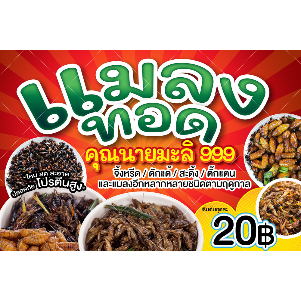 ป้ายแมลงทอด ขนาด 1.5*1 เมตร พร้อมเจาะตาไก่