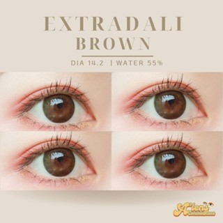 Extradali brown | beautylens บิวตี้เลนส์ | ค่าอมน้ำ55%