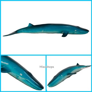 Blue whale โมเดลวาฬสีน้ำเงิน โมเดลสัตว์น้ำทะเล โมเดลเหมือนจริง สีสันสวยงาม งานสวยมากๆค่ะ