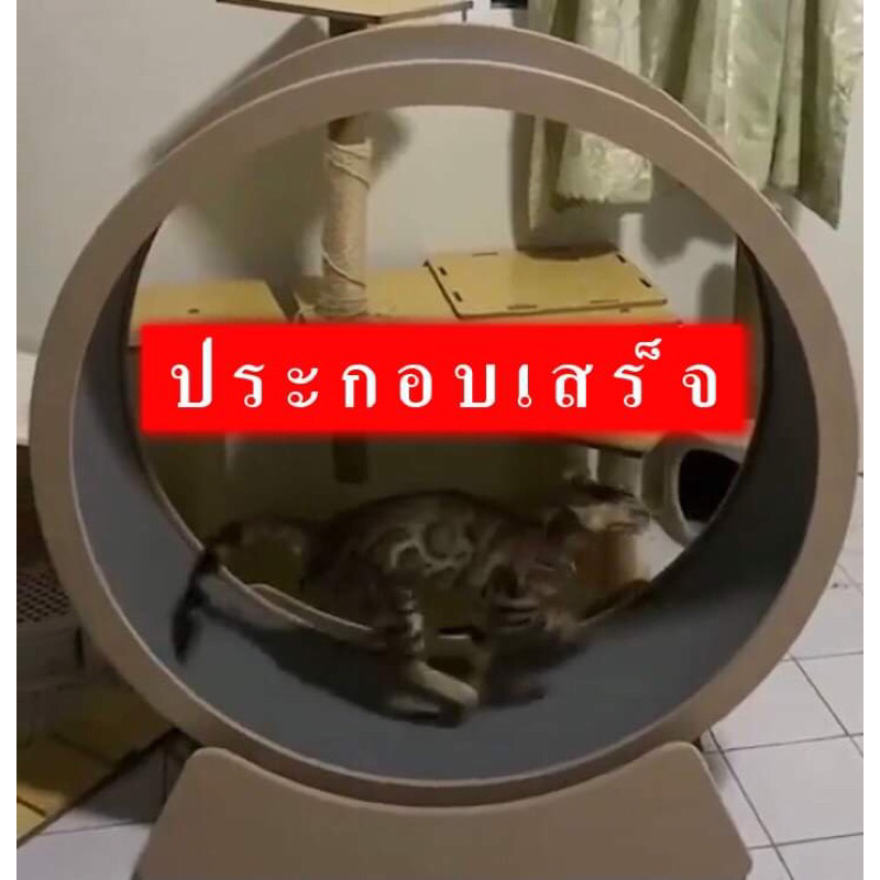 ลู่วิ่งแมว 99ซม ไร้รอยต่อ เนียนสุดสุด ของแท้*ขนาดใหญ่99ซม