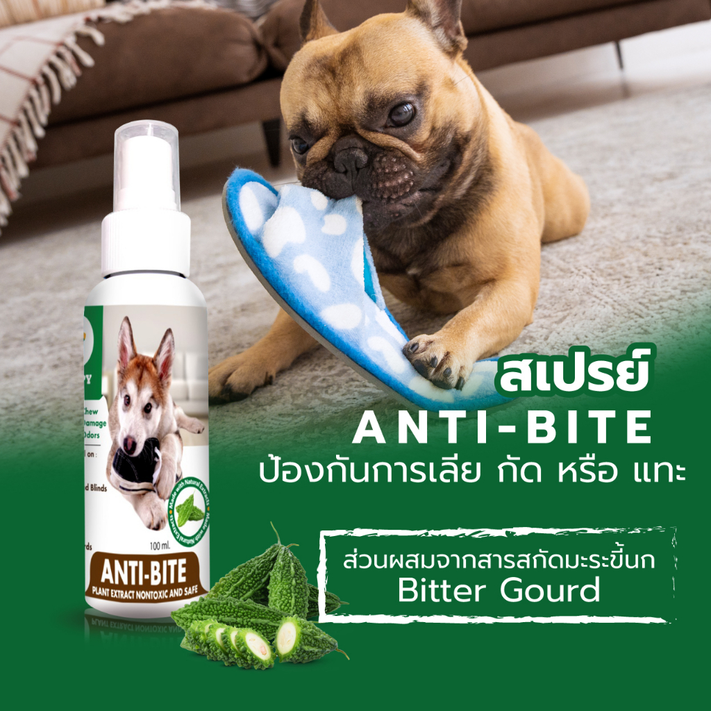 สเปรย์กันกัดแทะสัตว์เลี้ยง ป้องกันกัด รองเท้า สายไฟ เบาะรถยนต์ ปลอดภัย ผลิตจากมะระขี้นก 100ml.