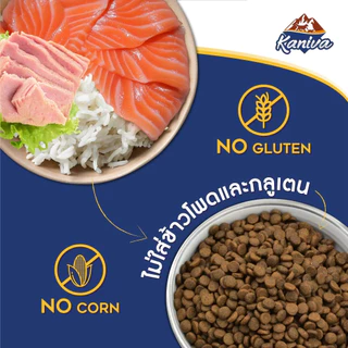 Kaniva Salmon 3 KG. อาหารแมว สูตรเนื้อปลาแซลมอน ปลาทูน่าและข้าว บำรุงผิวหนังและขน เน้นขนสวยสุขภาพดี สำหรับแมวทุกช่วงวัย