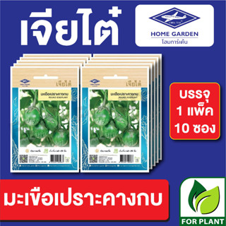 เมล็ดพันธุ์ ผักซอง มะเขือเปราะคางกบ ตราเจียไต๋ บรรจุแพ็คล่ะ 10 ซอง ราคา 70 บาท