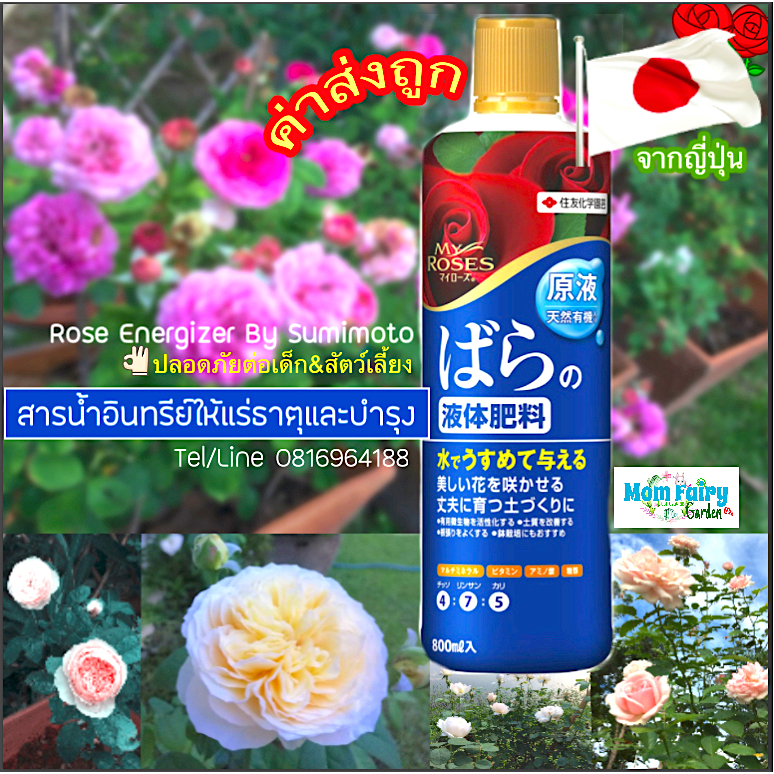 สารน้ำบำรุงกุหลาบ My Roseให้แร่ธาตุ+วิตามิน+กรดอะมิโน รวม36 ชนิด ใช้สารสกัดธรรมชาติ Rose Energizer Liquid