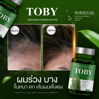 ‼️ส่งฟรี‼️ โทบี้หางม้า Toby Horsetail  วิตามินดูแลผม ผมร่วง ผมบาง ผมร่วงหลังคลอด หัวล้าน บำรุงผม ลดผมมัน รากผมแข็งแรง