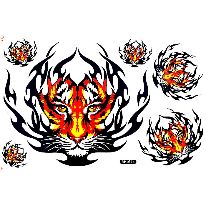 Thumbnail 5