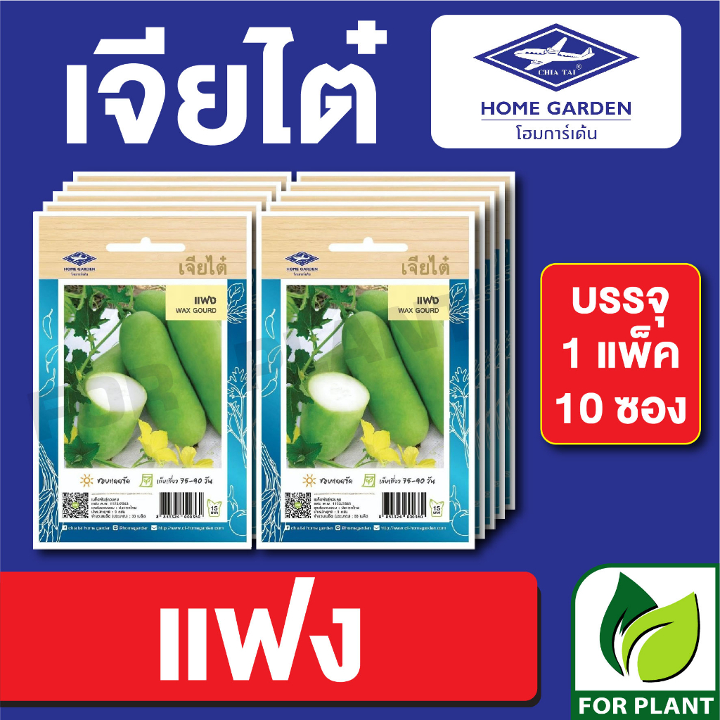 เมล็ดพันธุ์ ผักซอง แฟง ตราเจียไต๋ CT15 บรรจุแพ็คล่ะ 10 ซอง ราคา 75 บาท