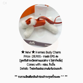 ★ NeW ★ H ermes Budy Charm