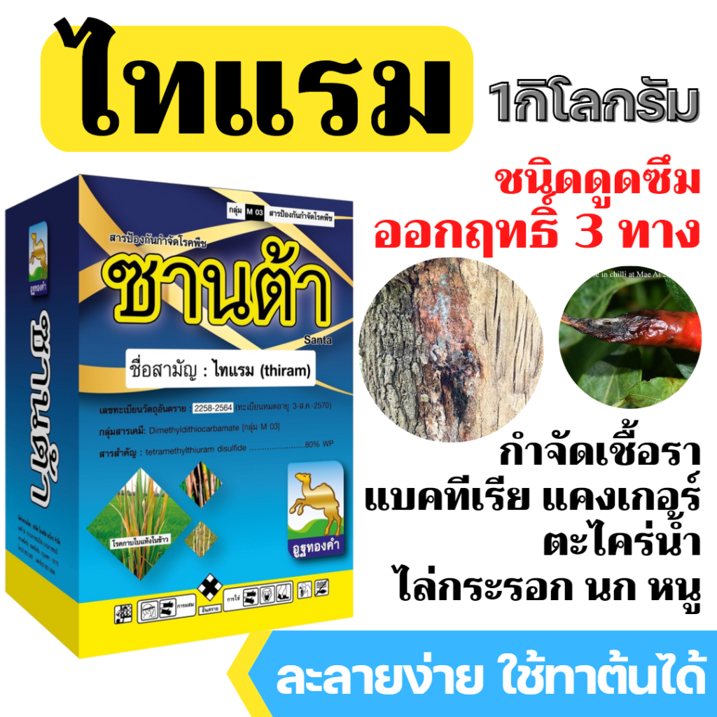 [1kg] ไทแรม แทน ไธอะโนซาน กำจัดเชื้อรา แก้ใบไหม้ แก้แคงเกอร์ รากเน่าโคนเน่า ราแป้งทุเรียน ไฟทอป ราดำเงาะ ผลเน่าลำไย