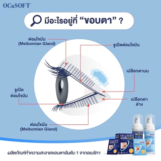 ((ของแท้ร้านยา)) Ocusoft Lid Scrub Foam / Plus / Scaderm Eye Soft