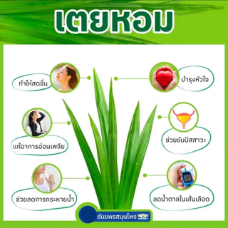 ชาดอกคำฝอย-เตยหอม บำรุงโลหิต ลดไขมัน ความดัน ลดน้ำตาลในโลหิต ธันยพรสมุนไพร 10 ซอง