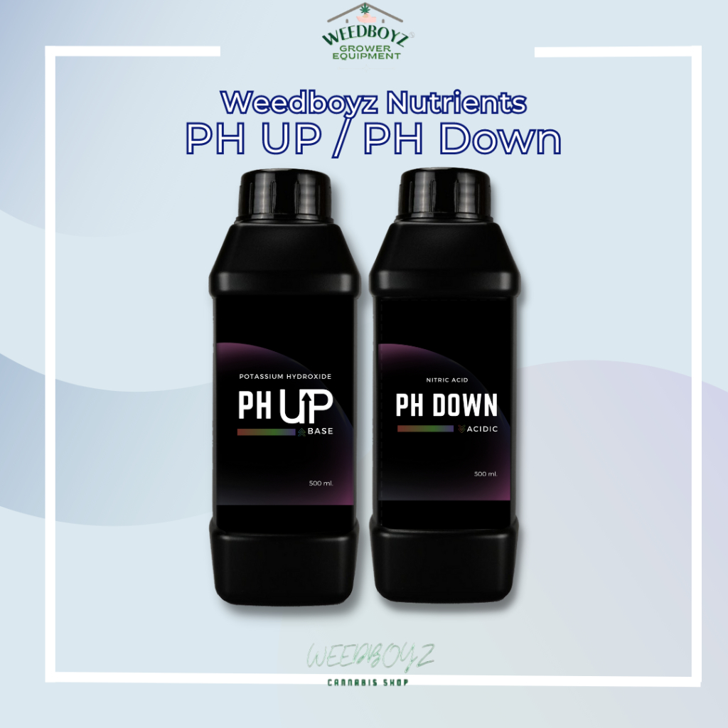PH up PH Down สูตรเข้มข้น ลดค่าphในน้ำ ขนาด500mlและ1ลิตร