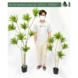 ต้นไม้ปลอม ต้น Lily Bamboo ปลอม สินค้าพร้อมกระถางสีดำ