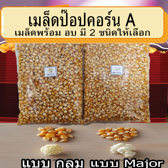 เมล็ดข้าวโพด เมล็ดป๊อปคอร์น มี 2 พันธุ์ เม็ดข้าวโพดป๊อปคอร์น เมล็ดข้าวโพดป๊อปคอร์น ผงเขย่า