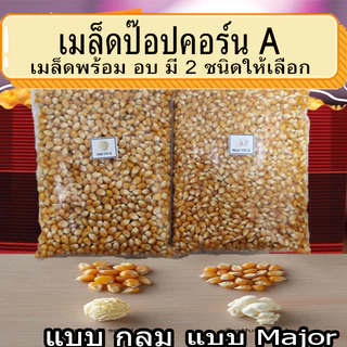 เมล็ดข้าวโพด เมล็ดป๊อปคอร์น มี 2 พันธุ์ เม็ดข้าวโพดป๊อปคอร์น เมล็ดข้าวโพดป๊อปคอร์น ผงเขย่า
