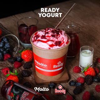 Ready Yogurt (ไอศกรีมเครื่องดื่ม Ready + Yogurt 1 ถ้วย 16 oz.) - Molto premium Gelato