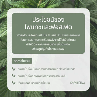 500G/1KG โมโนโพแทสเซียมฟอสเฟต (0-52-34) ปุ๋ย MKP / Monopotassium phosphate (0-52-34) - Chemrich