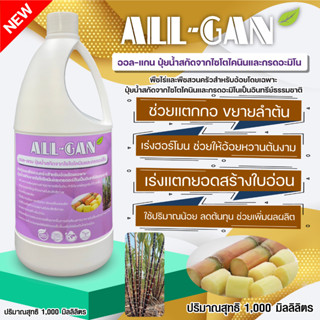 ปุ๋ยน้ำอ้อย 1000 ML. เขียวงาม ลำใหญ่ ลำอวบ เร่งหวาน น้ำหนักดี ALL GAN ไซโตไคนิน และกรดอะมิโน เพิ่มผลผลิตสูง คุณภาพดี