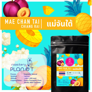 เมล็ดกาแฟคั่ว แม่จันใต้ Mae Chan Tai Anaerobic Natural (คั่วอ่อน) 200 g