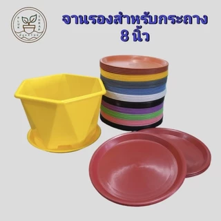 จานรองสำหรับกระถาง 3, 5, 8 นิ้ว (1 ใบ) / ถาดรองกระถางต้นไม้