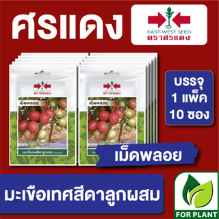 เมล็ดพันธุ์ ผักซอง มะเขือเทศเม็ดพลอย ตราศรแดง บรรจุแพ็คล่ะ 10 ซอง ราคา 70 บาท