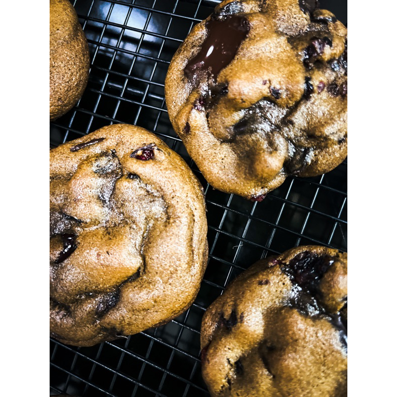 Soil Cookies (Cranberries Raisins Chocolate Cookies)