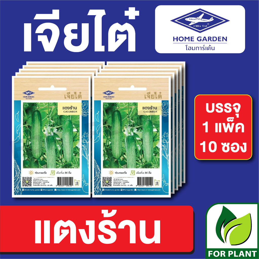 เมล็ดพันธุ์ ผักซอง แตงร้าน ตราเจียไต๋ CT15 บรรจุแพ็คล่ะ 10 ซอง ราคา 75 บาท