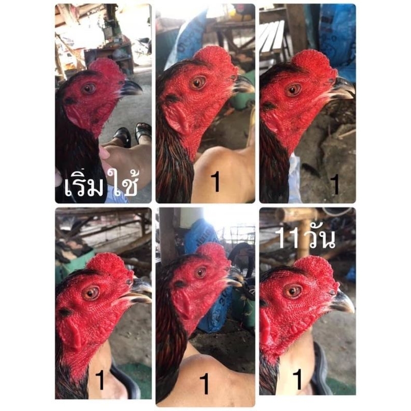 Thumbnail 8