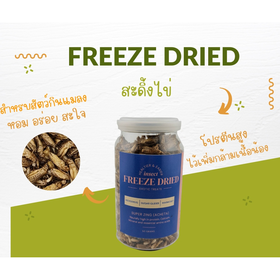 ซุปเปอร์ซิ่งสะดิ้งฟรีซดราย Super Zing Freeze Dried Cricket Acheta สำหรับสัตว์กินแมลง ชูก้า กระรอก เม่นแคระลิงมาโมเสท