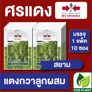 เมล็ดพันธุ์ ผักซอง แตงกวาสยาม ตราศรแดง บรรจุแพ็คล่ะ 10 ซอง ราคา 70 บาท