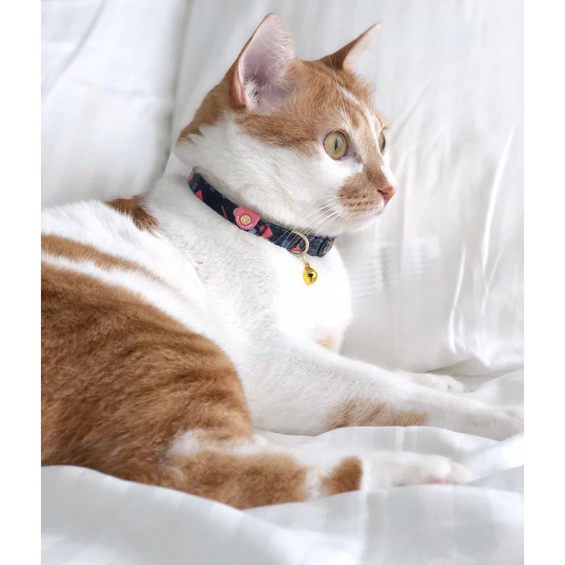 GENTLEPURR Cat Collar ปลอกคอแมว สินค้านำเข้าจากสิงคโปร์ thumbnail 8