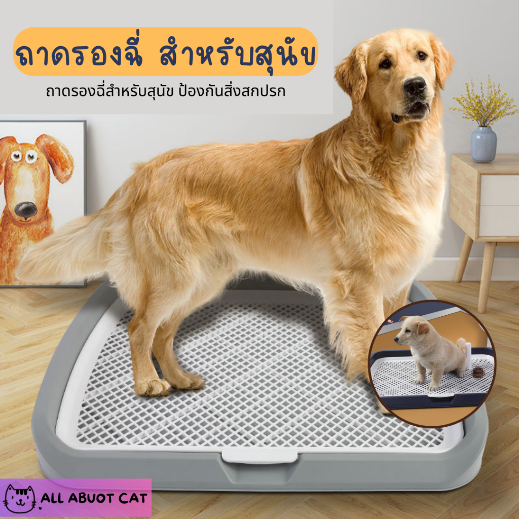 [ ABC cat ] [ถาดรองฉี่สุนัข] น้องน้ำสุนัข ที่รองฉี่ ห้องน้ำสุนัข ห้องน้ำหมา ถาดรองฉี่